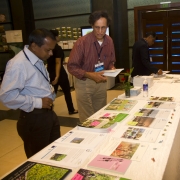 Browsing the mangrove knowledge exhibit