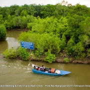 Pred Nai Mangrove; Thailand's second largest intact mangrove forest