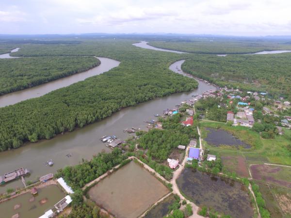 DJI 0026