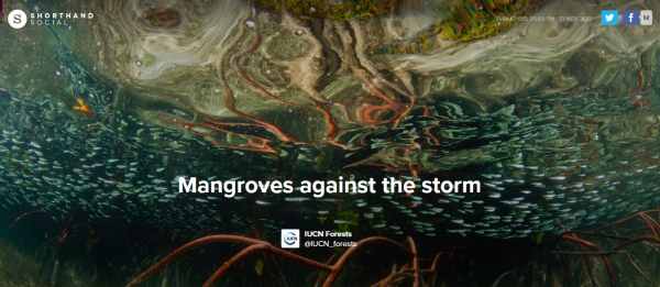 mangroves photostory cover